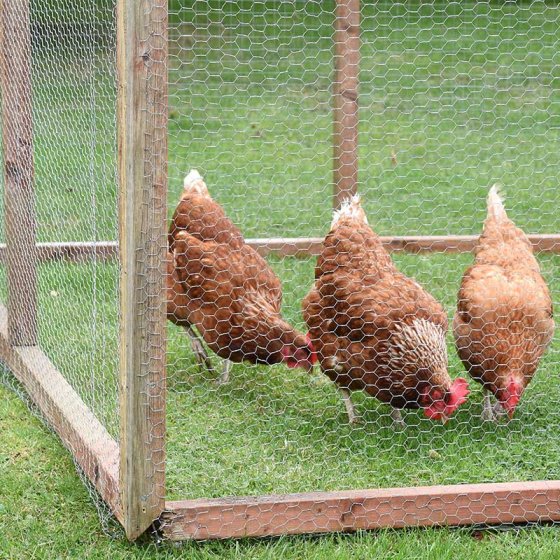 Hexagonal 13mm galvanised wire netting 1x5m, rot-proof, flexible fencing and plant support – Keans Claremorris