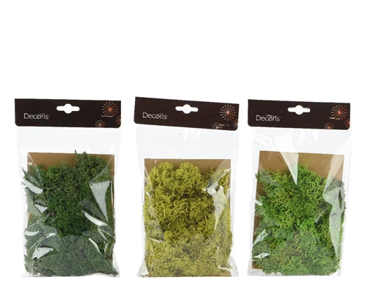 Preserved Moss Bag – 3 Colours Assorted 
