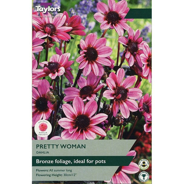 Dahlia Pretty Woman
