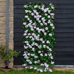 Load image into Gallery viewer, Cherry Blossom 180X90Cm Trellis
