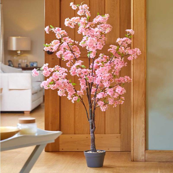 Pink Cherry Tree 140Cm