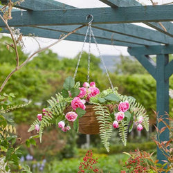 Regal Basket Pink Perfection, realistic UV-resistant artificial hanging basket 38x35x35 cm, removable chain, Keans