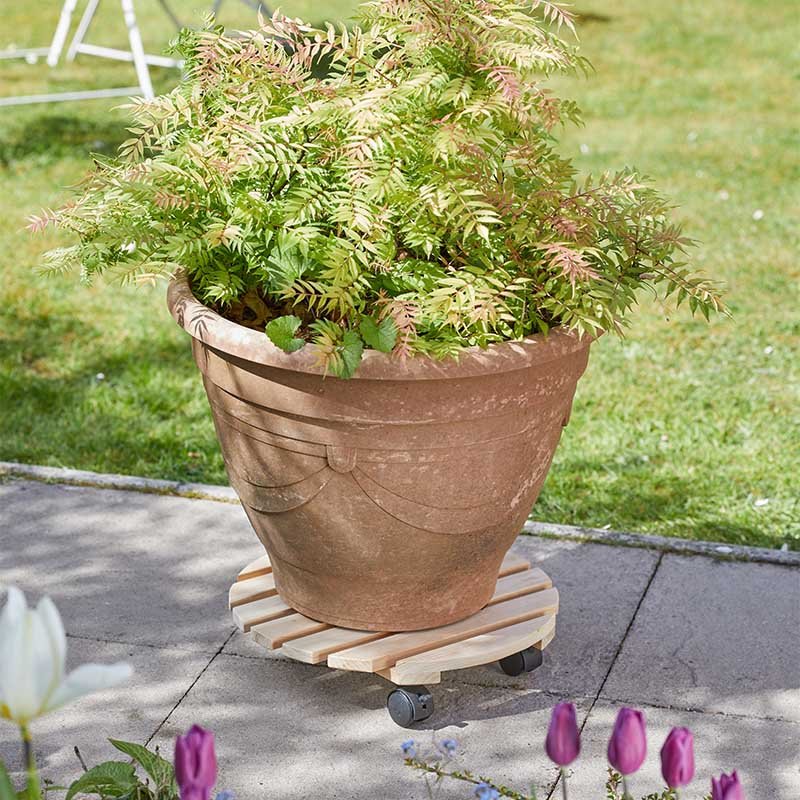 38cm Woodland Pot Caddy wooden slatted round base with wheels holding a large terracotta plant pot outdoors