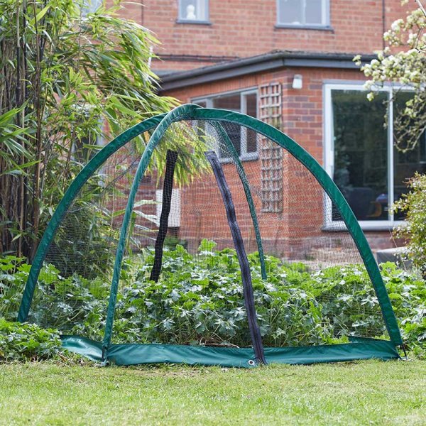 GroCage 2.0m x 2.0m garden plant protection cage with green frame and fine mesh netting over plants.
