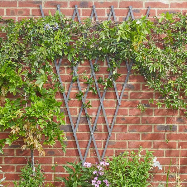 Heavy duty expanding fan trellis tan 1.8x0.9m for garden support – Keans Claremorris