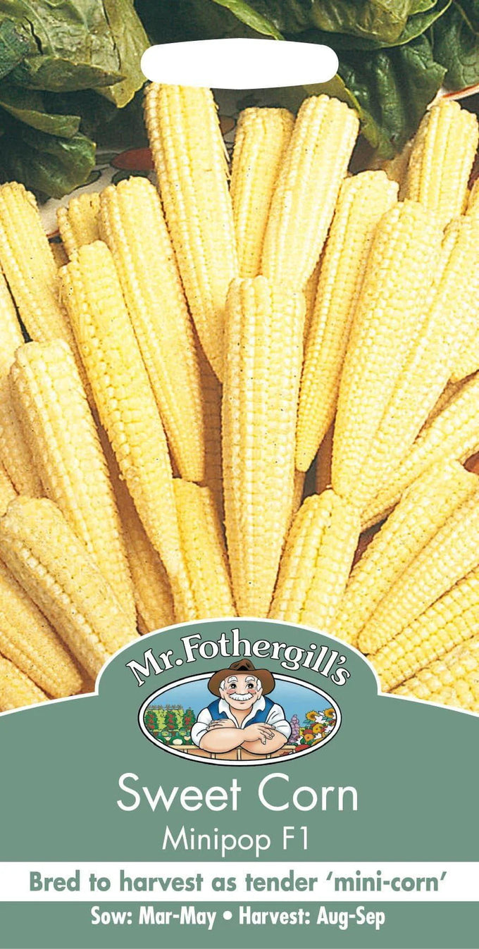 Sweet Corn Minipop F1 - Image 1