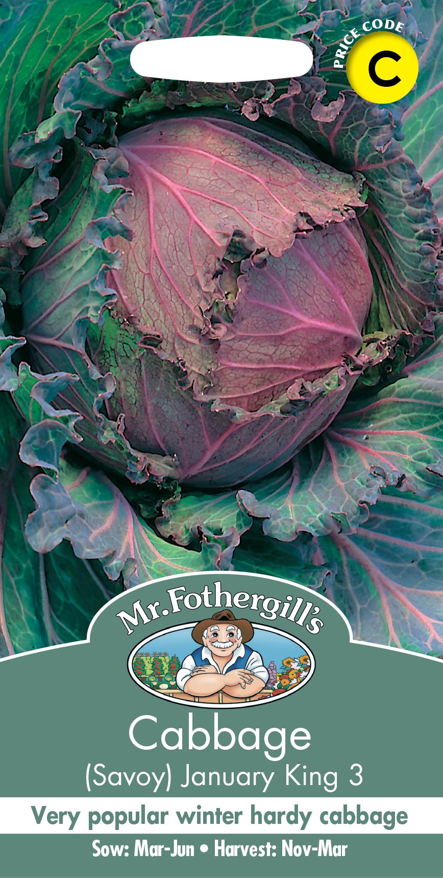 Close-up of a Savoy January King 3 cabbage with crinkled green and purple leaves on seed packet.