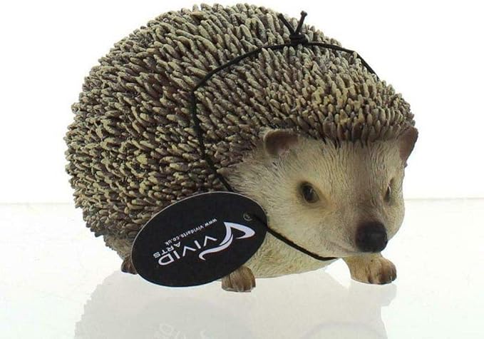 Pet Pals Pygmy Hedgehog F - Image 2
