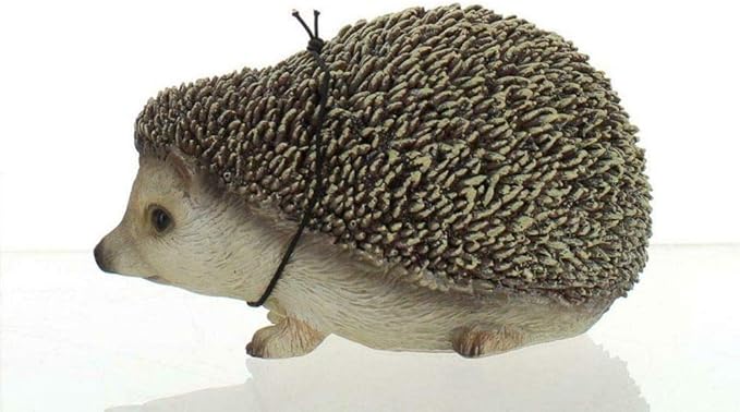 Pet Pals Pygmy Hedgehog F - Image 3