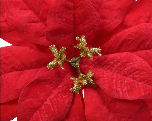 Close-up of red velvet poinsettia clip showing textured petals and glittery gold stamens.