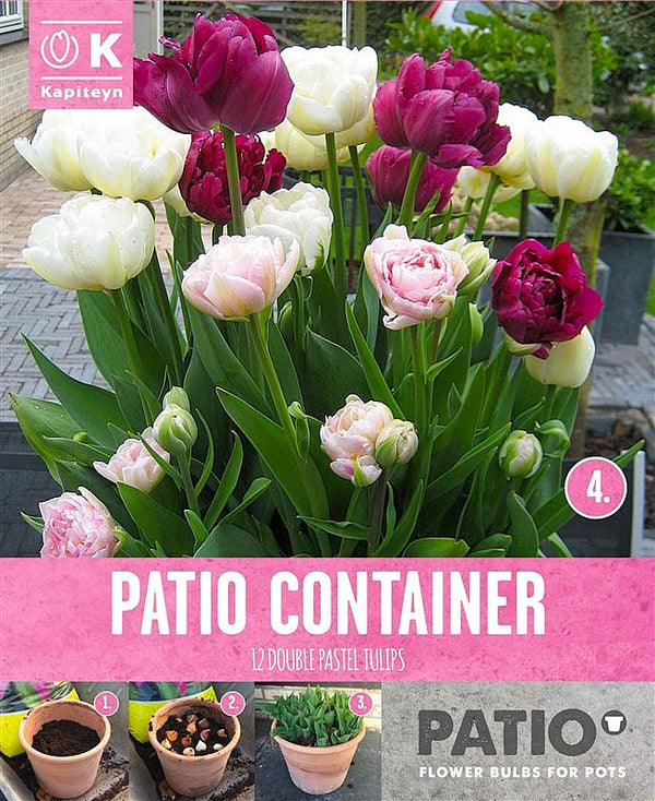 Patio Container Tulipa Pink, Purple & White 12/+ Pack of 12
