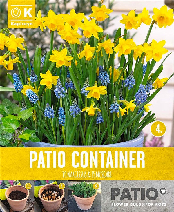 Patio Container Narcissus & Muscari Pack of 25