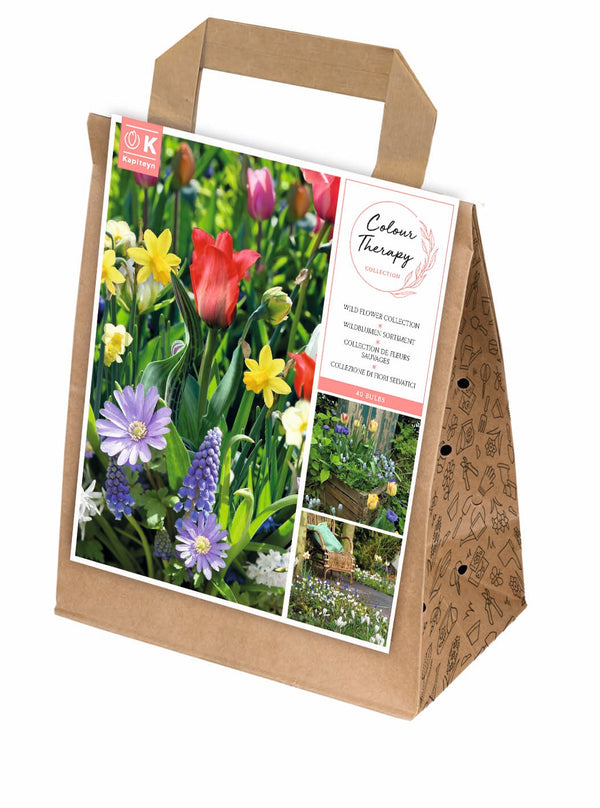 Spring Collection Colour Therapy Pack of 40