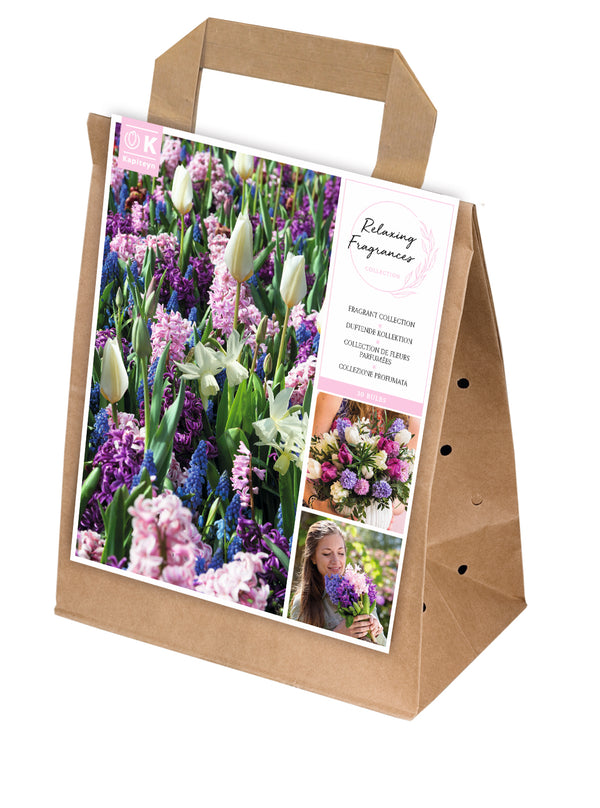 Spring Collection Relaxing Fragrances Pack of 30