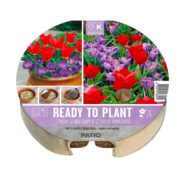Plant-O-Mat Tulipa & Crocus 24cm Pack of 19