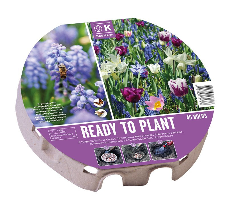 Plant-O-Mat Tray XL – 38 Wild Flowers Biodiversity Mix (45 Bulbs) - Image 1