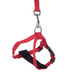 Red adjustable cat car harness 20-50cm with padded straps and leash, nylon 15mm wide – Keans Claremorris
