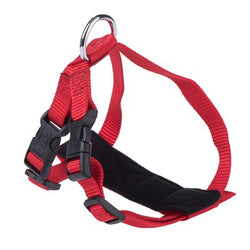 Red cat harness adjustable 20-50cm for secure pet walking, available at Keans Claremorris.