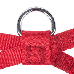 Red cat harness adjustable 20-50cm for secure pet walking, from Keans Claremorris store.