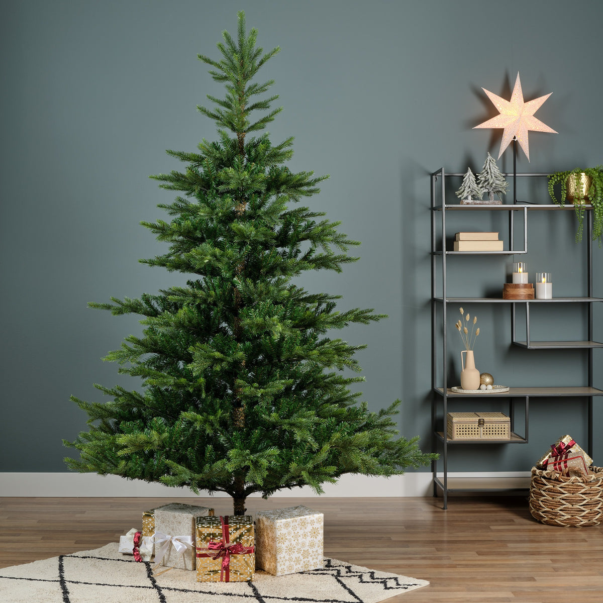 Grandis Fir, Green Christmas Tree - Image 4