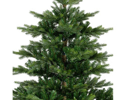 8ft Grandis Fir Green Christmas Tree 240cm – Full, lush branches | Keans Claremorris holiday decor
