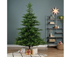 8ft Grandis Fir Green Christmas Tree 240cm – Full, realistic branches | Keans Claremorris