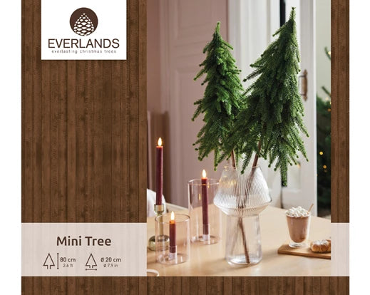 Two green mini trees in a clear glass vase on a table with lit candles and a hot drink nearby