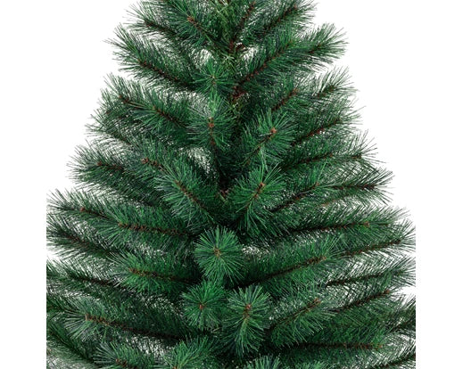 Canada Spruce 5ft Christmas Tree 150cm height, 94cm width, festive decoration by Keans Claremorris