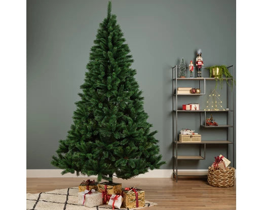 Canada Spruce 9ft Christmas Tree with full branches, perfect holiday decor | Keans Claremorris