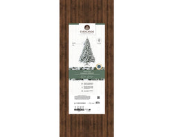 Canada Spruce Frosted Christmas Tree – 180 cm (H), D117 cm