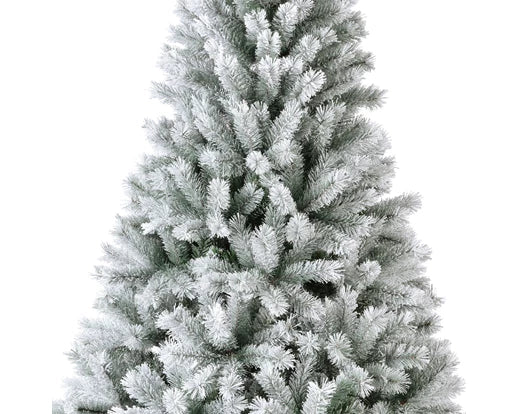 Christmas Tree Canada Spruce Frosted Tree 7ft - Image 6