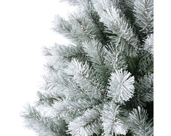 Christmas Tree Canada Spruce Frosted Tree 7ft