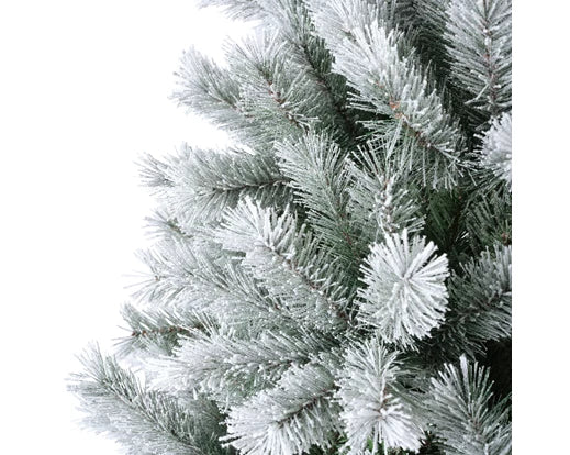 Canada Spruce Frosted Christmas Tree – 180 cm (H), D117 cm - Image 3