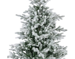 Grandis Fir Snowy Christmas Tree 240cm (8ft) with frosted tips, perfect holiday decor – Keans Claremorris