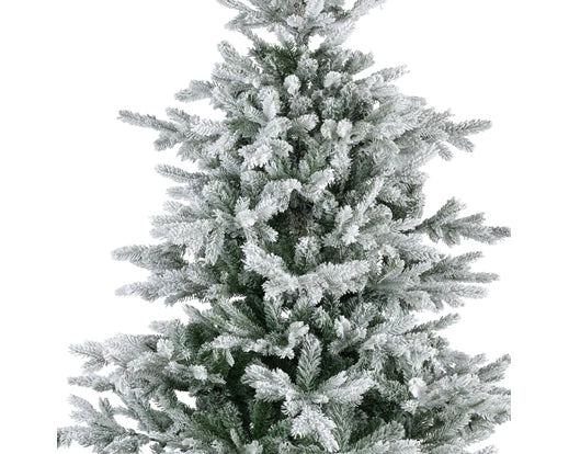 Grandis Fir Snowy Christmas Tree 240cm (8ft) with frosted tips, perfect holiday decor – Keans Claremorris