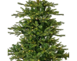 Grandis Fir 2.1 m (7 ft) Micro LED Indoor Christmas Tree – Warm White Lights