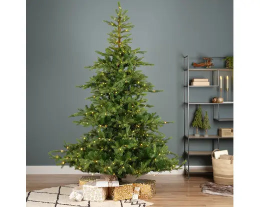 Grandis Fir 2.1 m (7 ft) Micro LED Indoor Christmas Tree – Warm White Lights - Image 3