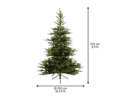 Grandis Fir 2.1 m (7 ft) Micro LED Indoor Christmas Tree – Warm White Lights