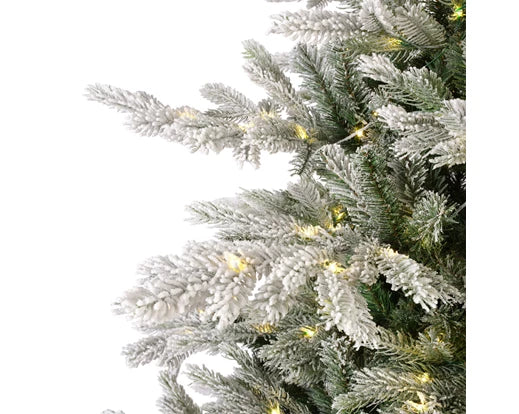 Grandis Fir Snowy Prelit Christmas Tree 7ft - Image 3