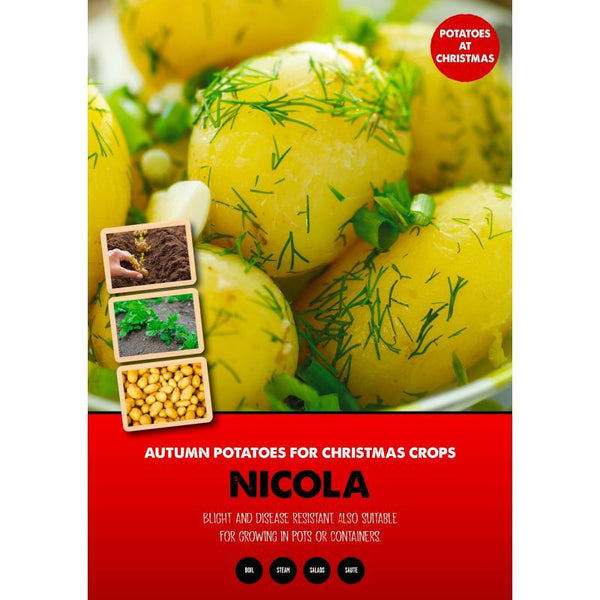 Seed Potatoes Nicola  1Kg