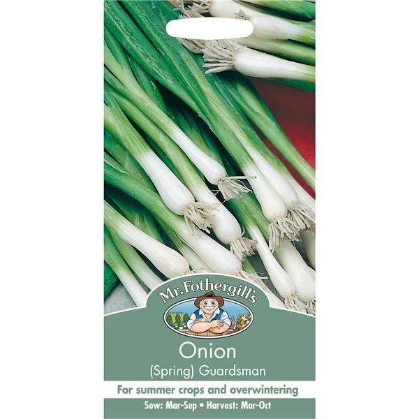 Onion (Spring) Guardsman - Image 1