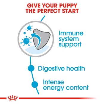 Royal Canin Mini Puppy Junior Dog Food 8kg – Nutritious small breed puppy formula available at Keans Claremorris