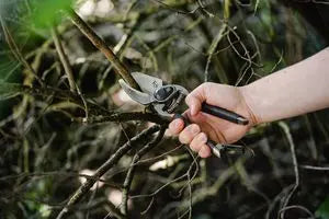 Hand holding Kent & Stowe Traditional Secateurs cutting a thin branch outdoors.