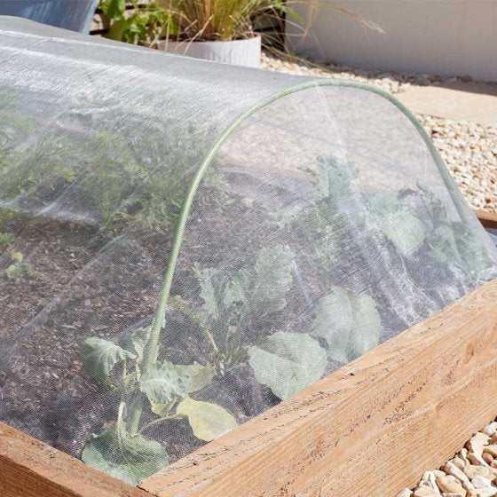 Anti-Insect Mesh 4x2m UV stabilized, heavy-duty garden netting protects plants from pests, reusable - Keans Claremorris