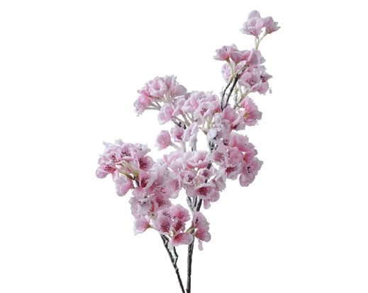 Pink cherry blossom spray with snow finish, 83cm long stem – decorative floral accent by Keans Claremorris