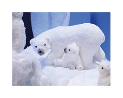 Polar Bear with Baby –  w49cm x h27cm