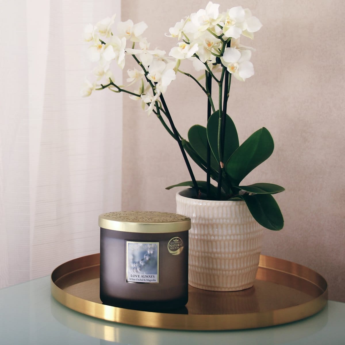 Twin Wick Ellipse Love Always candle with gold lid on brass tray beside white orchid plant in textured pot