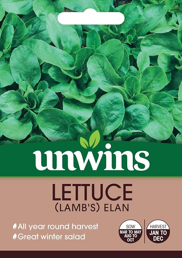 Fresh Lamb's Lettuce (Corn Salad) with tangy flavor, easy to harvest leaves, from Keans Claremorris.