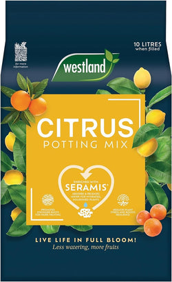 Westland Citrus Potting Mix 10L with Seramis granules, perlite for drainage, peat-free, promotes healthy citrus roots –