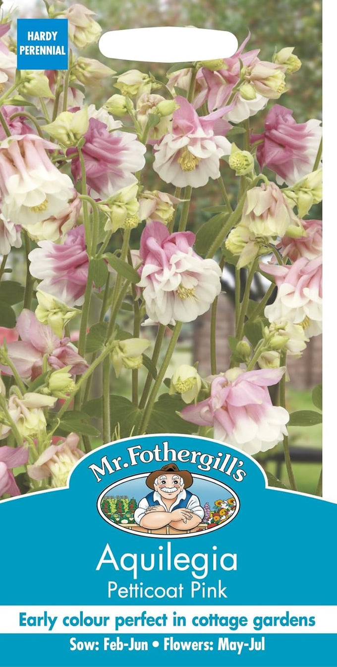Aquilegia Petticoat Pink - Image 1